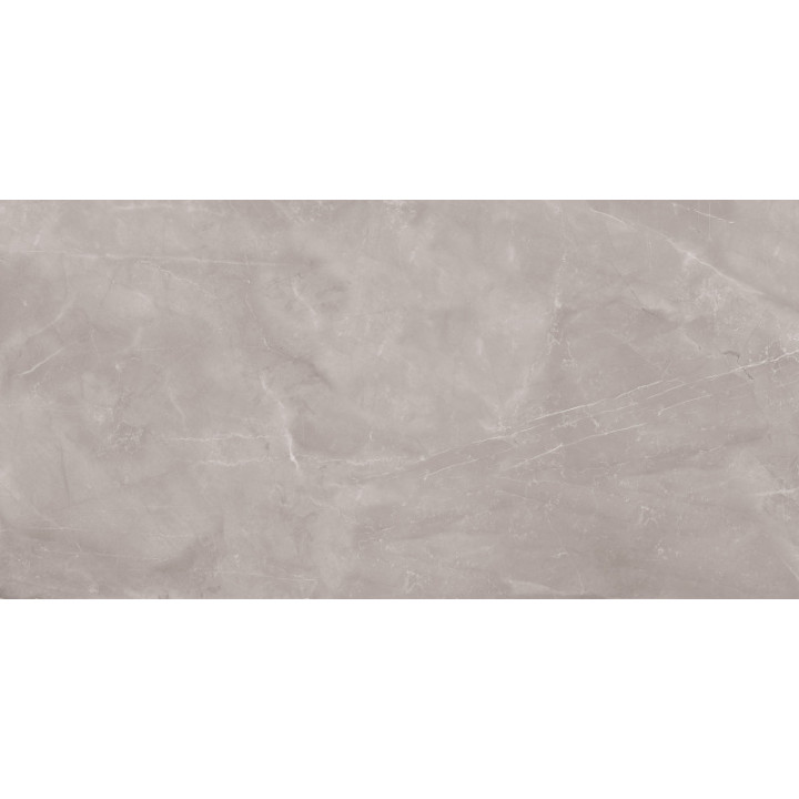 Armani Silver Mat 60x120 grade I Nuevo marble tile